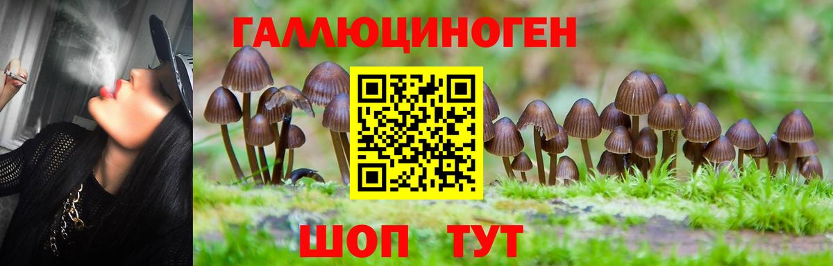 Галлюциногенные грибы MAGIC MUSHROOMS Хасавюрт
