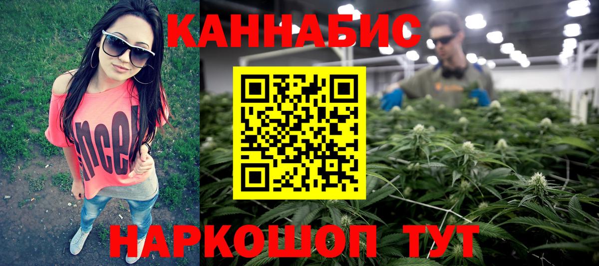 Конопля AK-47 Хасавюрт